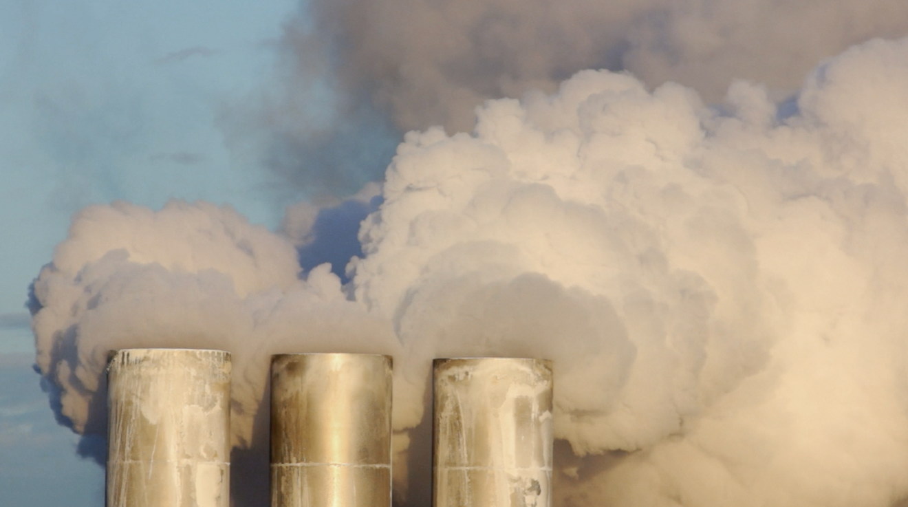 Enquire about environmental issues